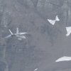 Aviation